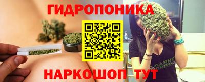 спиды Ачхой-Мартан