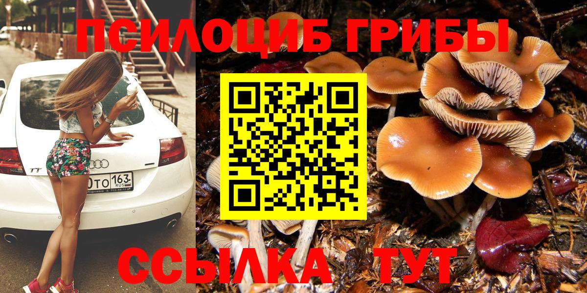 Галлюциногенные грибы Cubensis Саянск