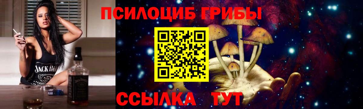 Саянск  Псилоцибиновые грибы мухоморы  Вход с VPN 