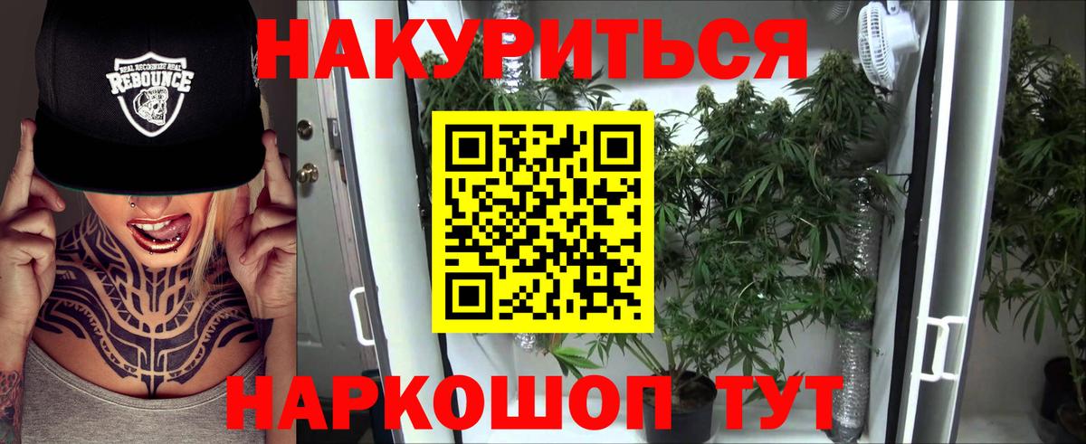 Бошки Шишки LSD WEED  Бошки марихуана сатива  Вход с VPN  Каннабис сатива  Саянск 